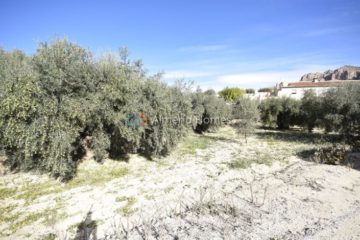 Image No.11-1 Bed Country House for sale