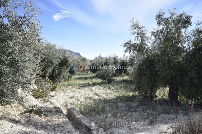 Image No.12-1 Bed Country House for sale