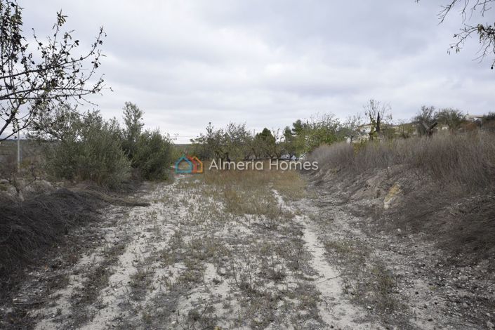 Image No.16-Maison de campagne de 3 chambres à vendre à Oria