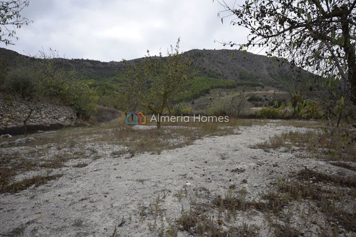 Image No.17-Maison de campagne de 3 chambres à vendre à Oria