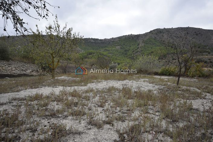 Image No.18-Maison de campagne de 3 chambres à vendre à Oria
