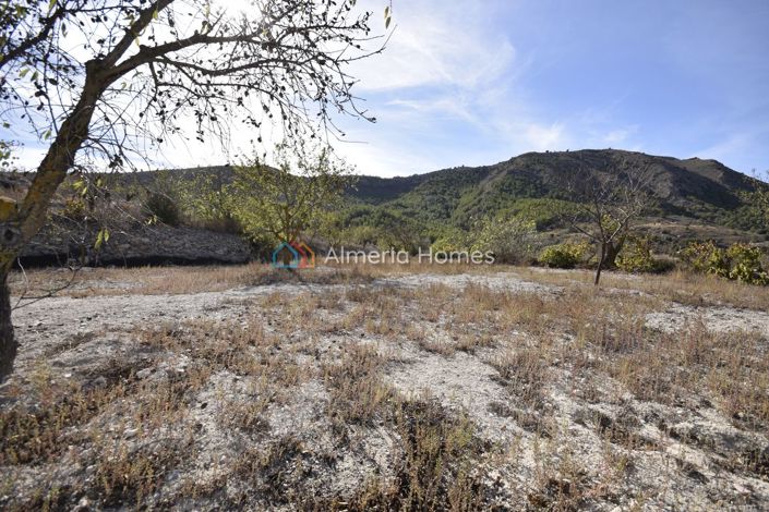 Image No.18-Maison de campagne de 3 chambres à vendre à Oria