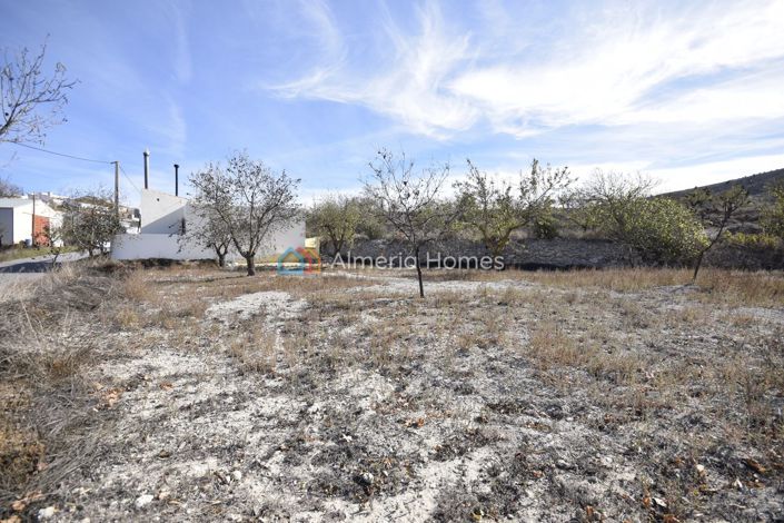 Image No.19-Maison de campagne de 3 chambres à vendre à Oria