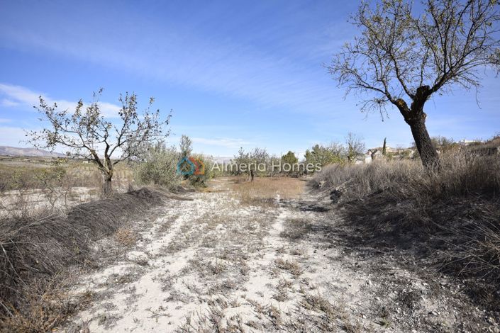 Image No.20-Maison de campagne de 3 chambres à vendre à Oria