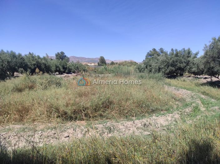 Image No.12-Maison de campagne de 2 chambres à vendre à Tíjola