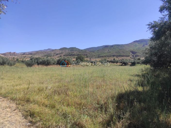 Image No.12-2 Bed Country House for sale