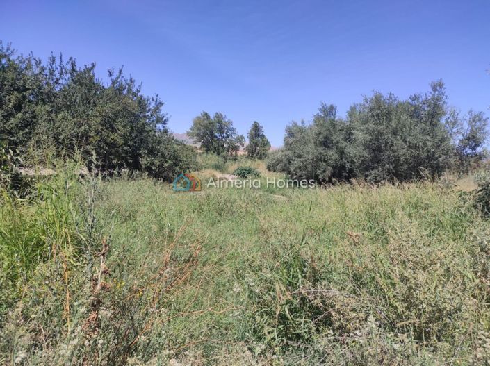 Image No.14-Maison de campagne de 2 chambres à vendre à Tíjola