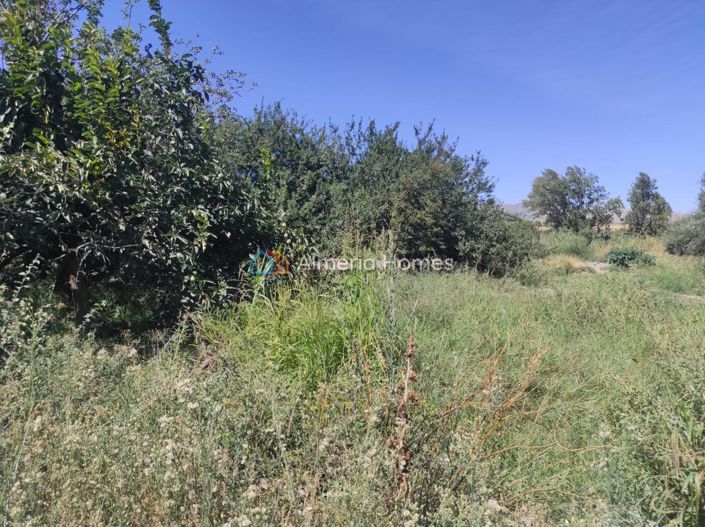 Image No.15-Maison de campagne de 2 chambres à vendre à Tíjola