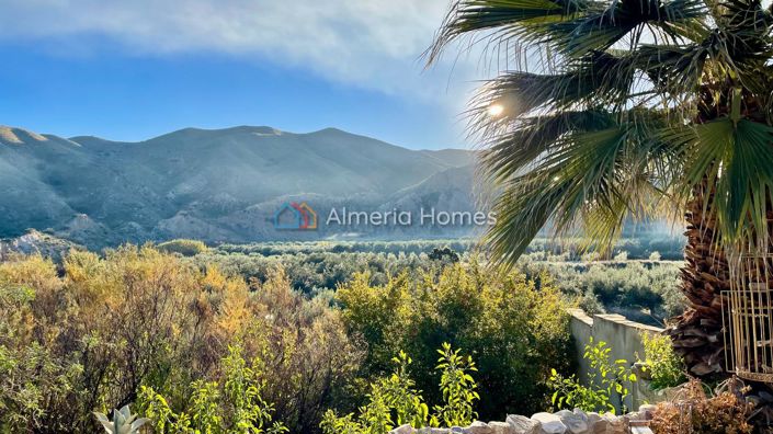 Image No.29-4 Bed Country House for sale