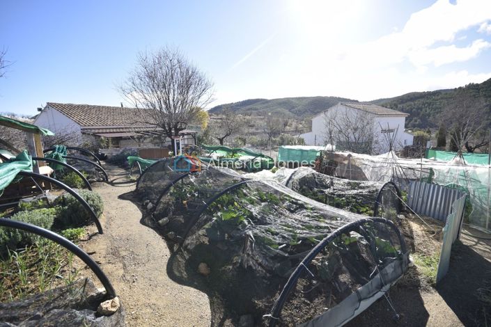 Image No.20-Villa de 3 chambres à vendre à Velez-Rubio