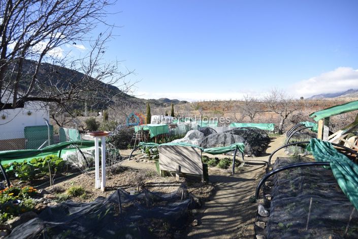 Image No.21-Villa de 3 chambres à vendre à Velez-Rubio