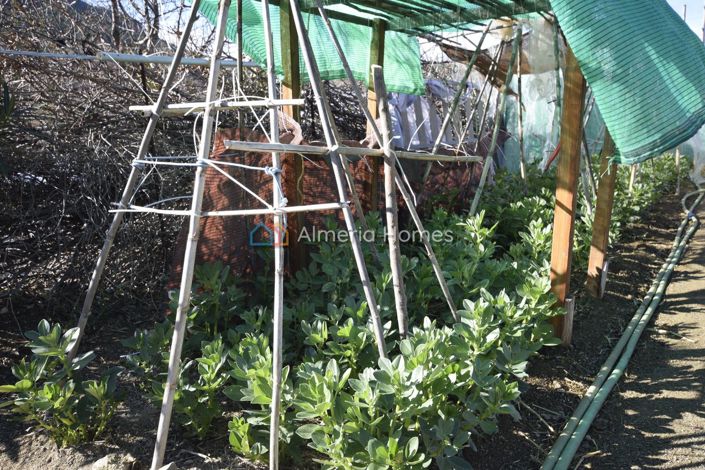 Image No.22-Villa de 3 chambres à vendre à Velez-Rubio