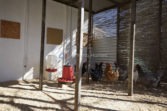 Image No.29-Villa de 3 chambres à vendre à Velez-Rubio