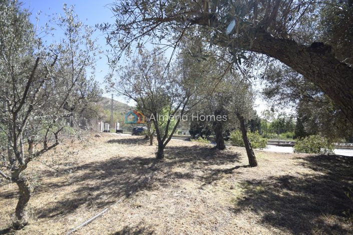 Image No.13-3 Bed Villa for sale