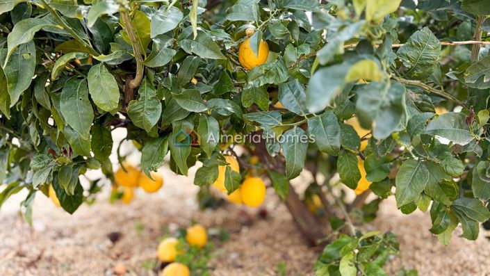 Image No.12-3 Bed Villa for sale