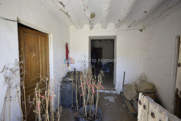 Image No.5-4 Bed Country House for sale