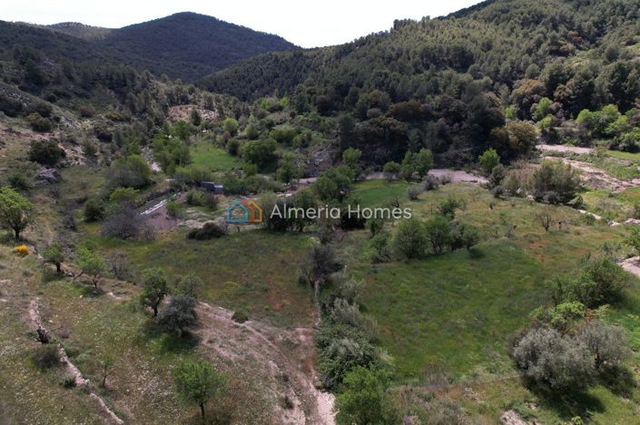 Image No.29-3 Bed Country House for sale