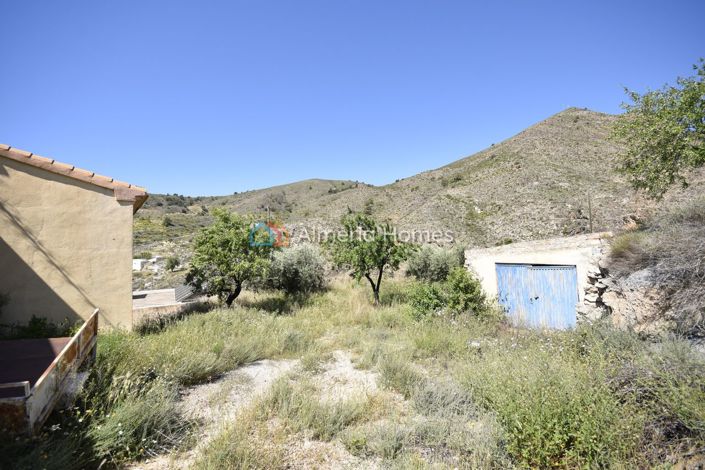 Image No.28-3 Bed Country House for sale