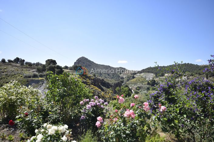 Image No.6-3 Bed Country House for sale