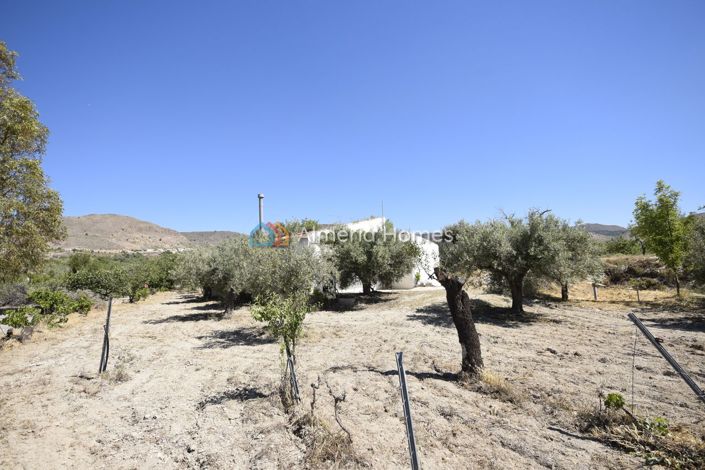 Image No.18-2 Bed Country House for sale