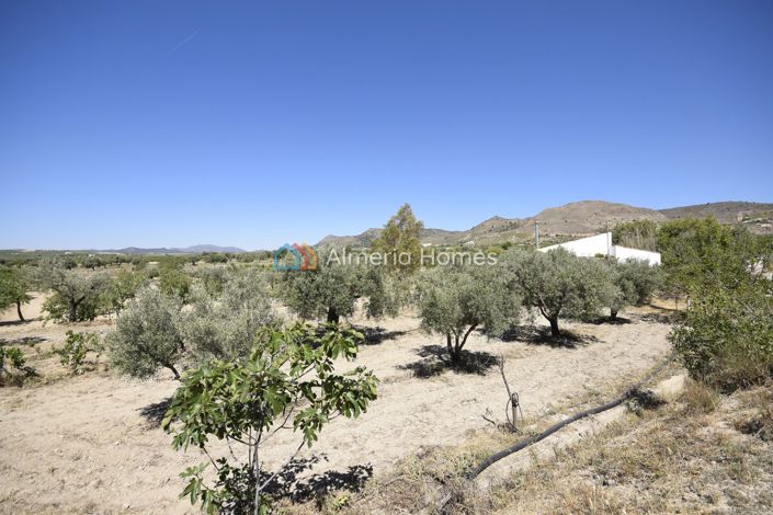 Image No.19-2 Bed Country House for sale
