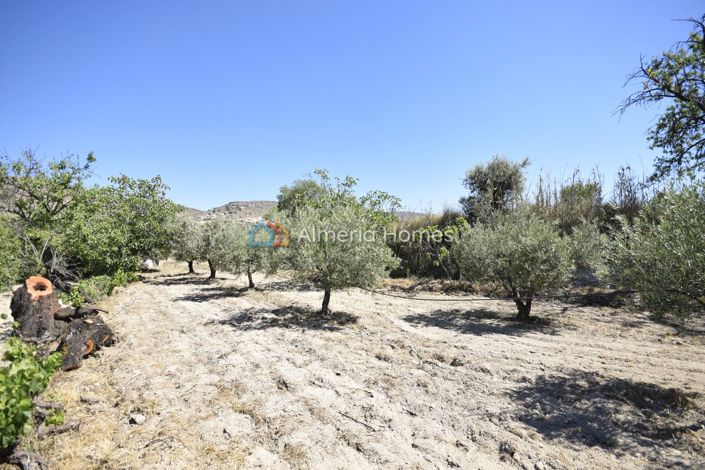 Image No.20-2 Bed Country House for sale