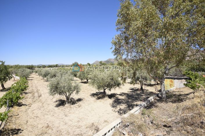 Image No.21-2 Bed Country House for sale