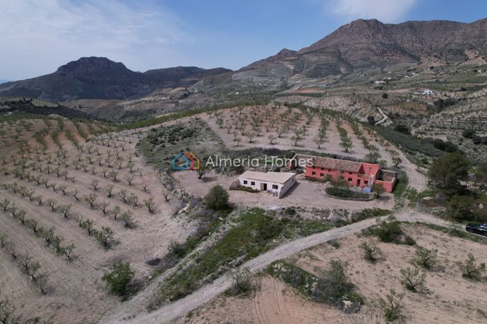 Image No.2-8 Bed Country House for sale