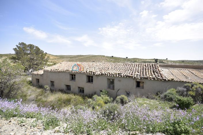 Image No.30-8 Bed Country House for sale