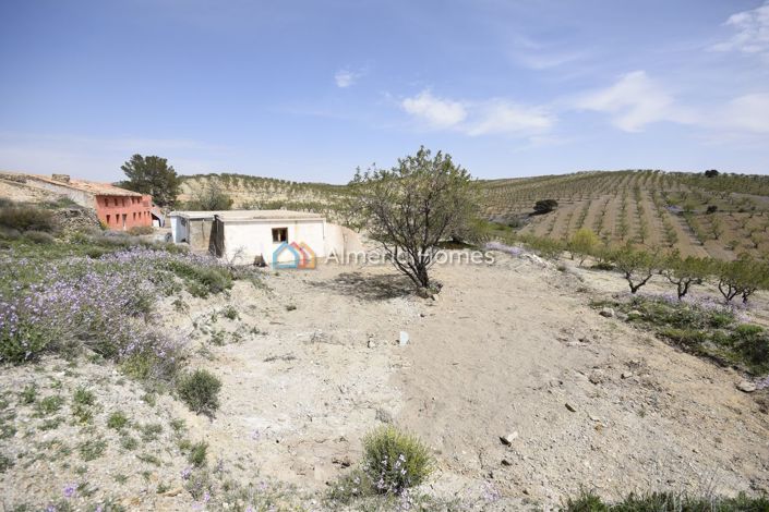 Image No.9-8 Bed Country House for sale