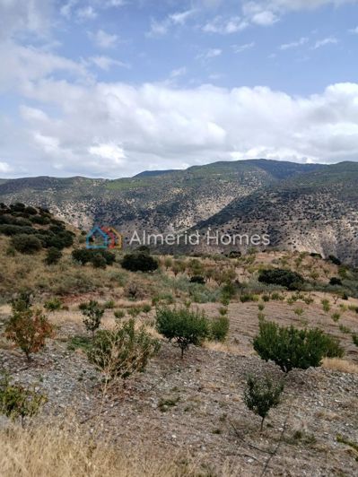 Image No.21-3 Bed Country House for sale
