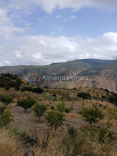 Image No.23-3 Bed Country House for sale