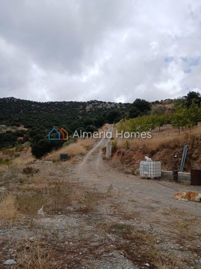 Image No.26-3 Bed Country House for sale
