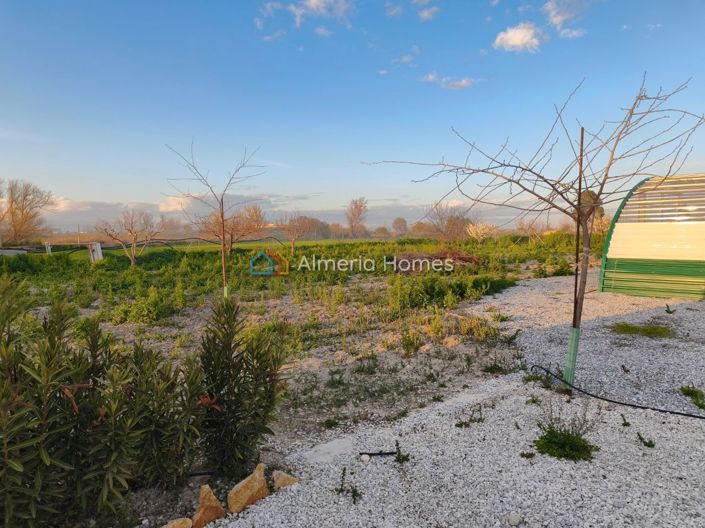 Image No.23-1 Bed Country House for sale