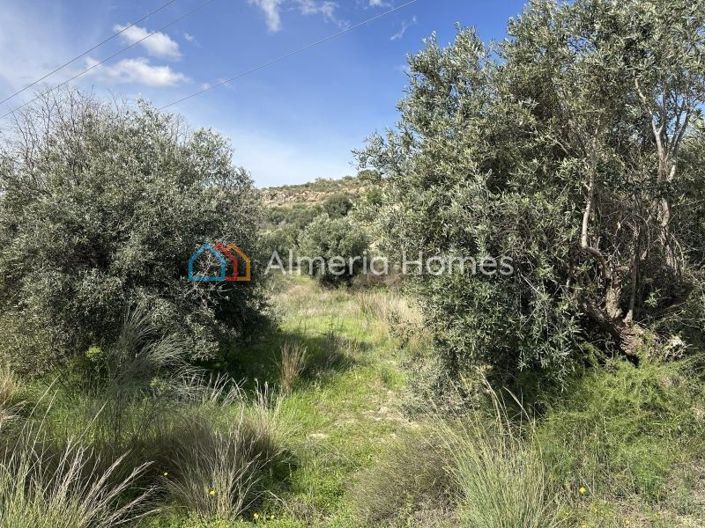 Image No.3-2 Bed Country House for sale