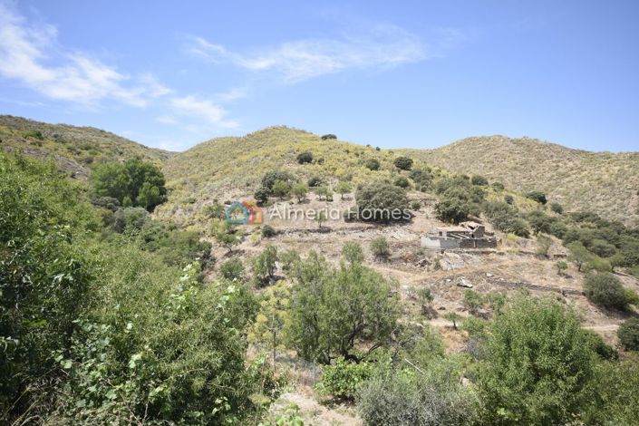 Image No.20-3 Bed Country House for sale