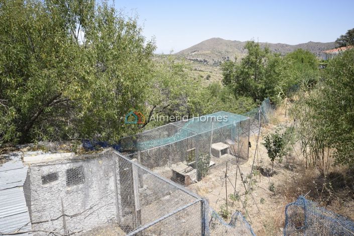 Image No.23-3 Bed Country House for sale
