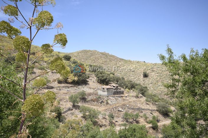 Image No.24-3 Bed Country House for sale