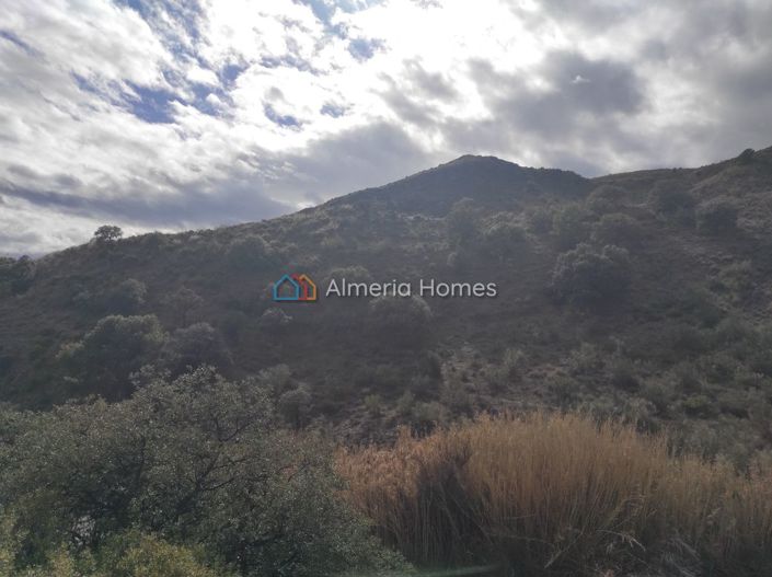 Image No.17-Country House for sale