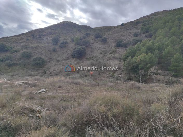 Image No.22-Country House for sale