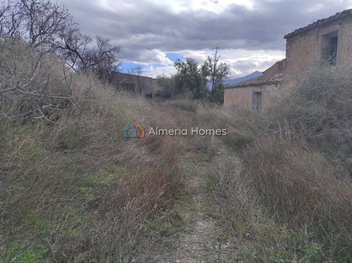 Image No.8-Country House for sale