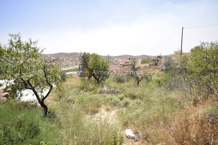 Image No.18-3 Bed Country House for sale