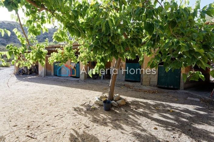 Image No.4-3 Bed Villa for sale