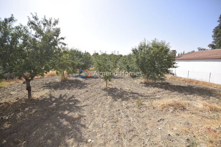 Image No.16-7 Bed Country House for sale