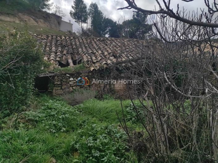 Image No.19-3 Bed Village House for sale