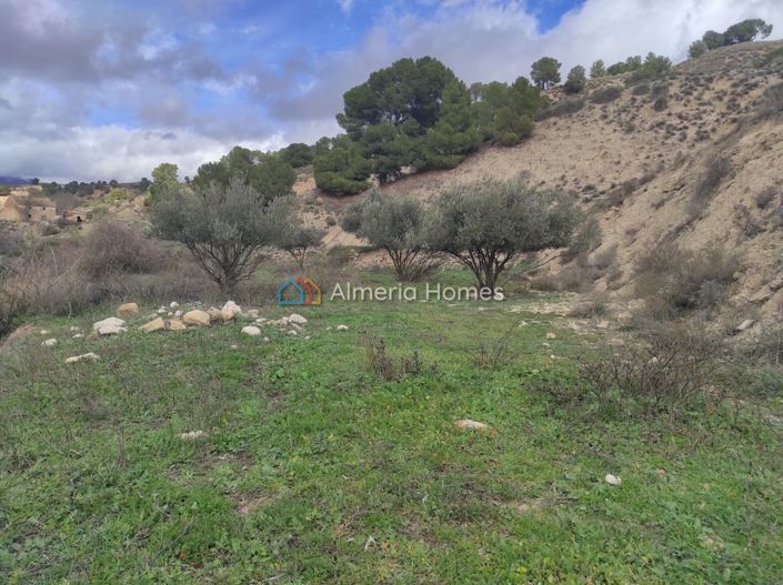 Image No.22-3 Bed Village House for sale