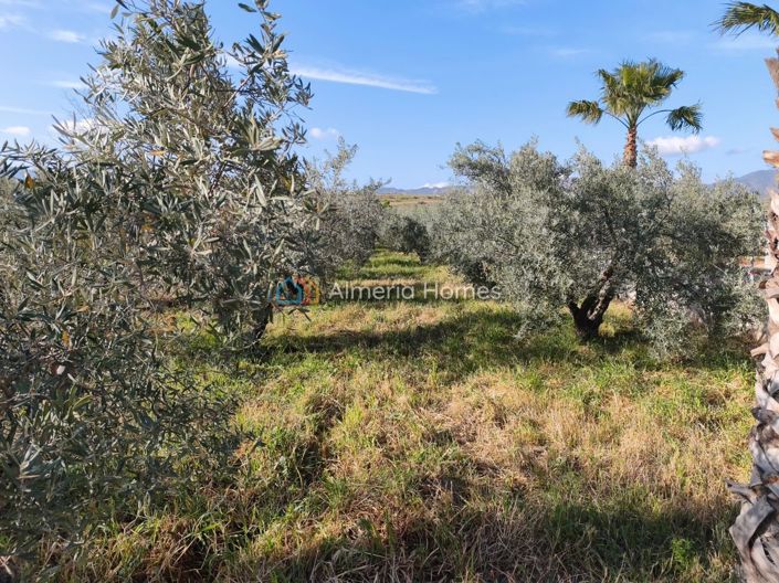 Image No.18-2 Bed Country House for sale