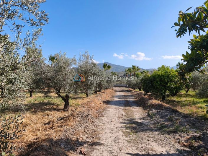 Image No.20-2 Bed Country House for sale