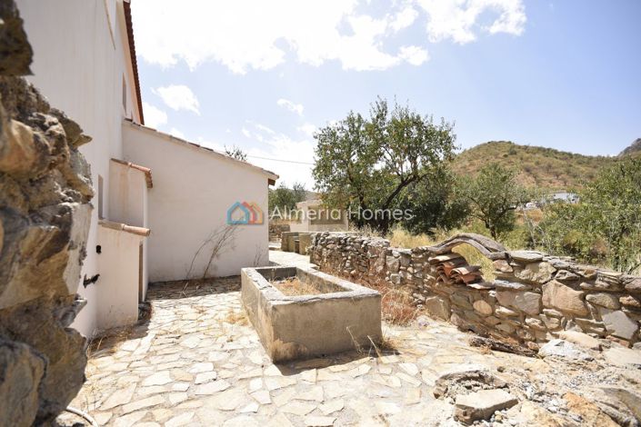 Image No.24-5 Bed Country House for sale