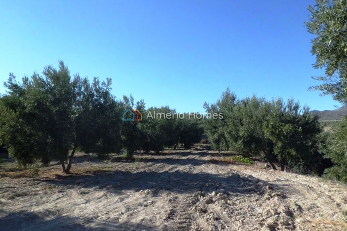 Image No.18-3 Bed Country House for sale
